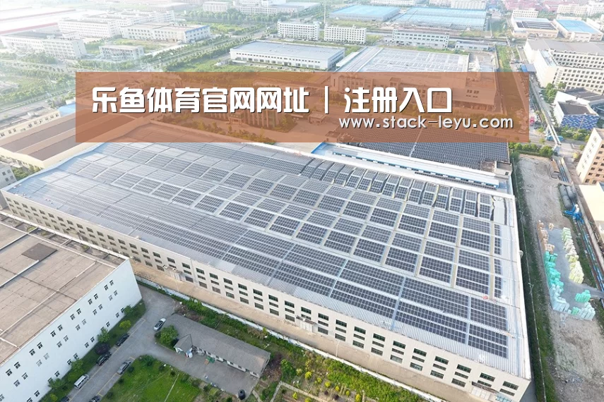 案例展示二