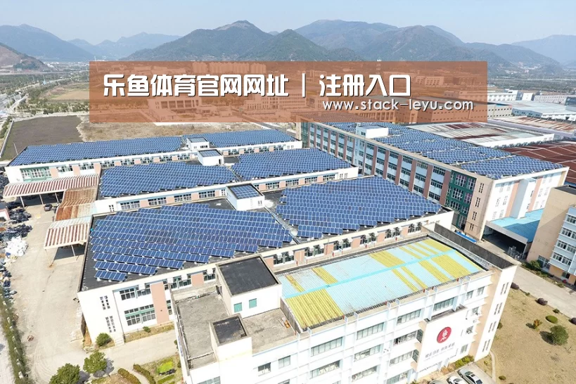 案例展示二
