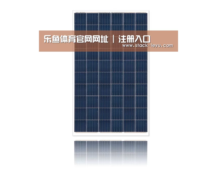 产品名称一