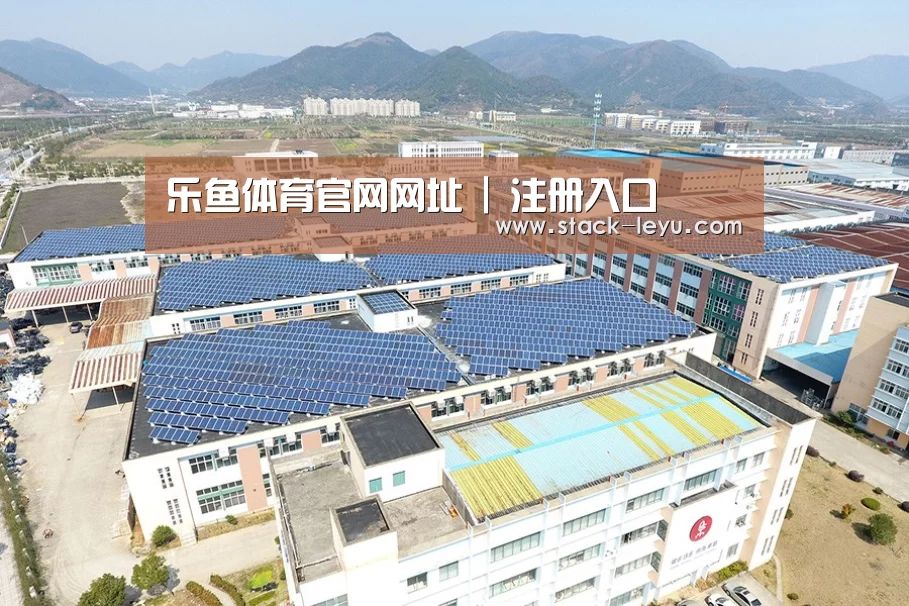 案例展示四