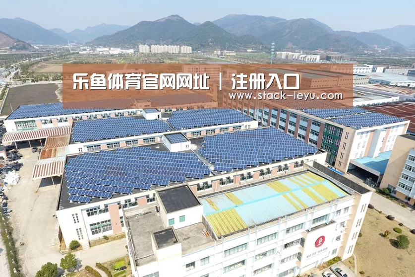 案例展示一