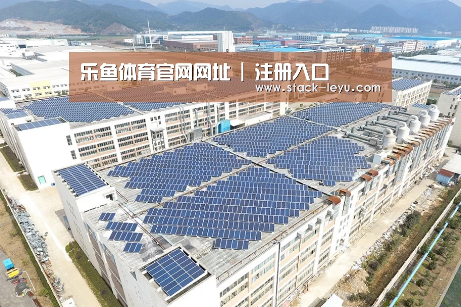 案例展示二