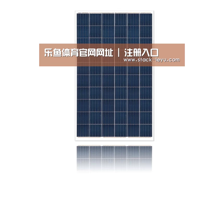 产品名称一