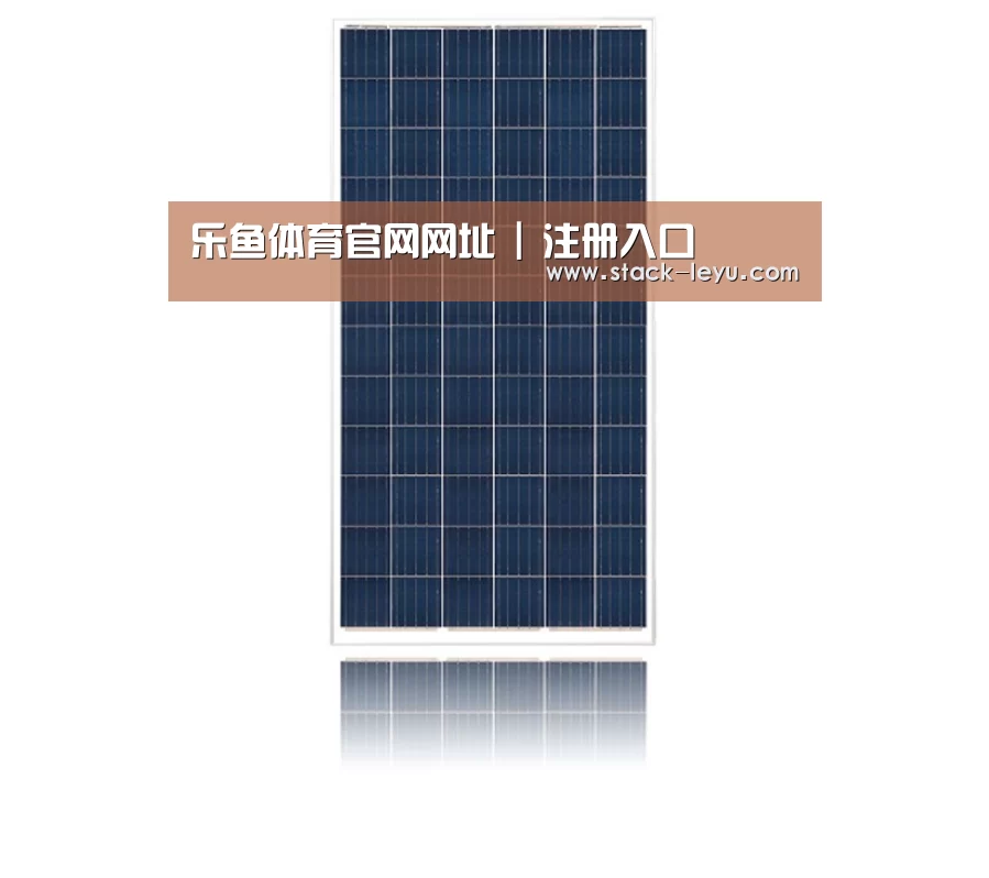 产品名称一