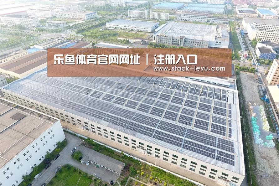 案例展示二