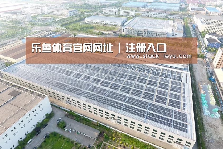 案例展示三