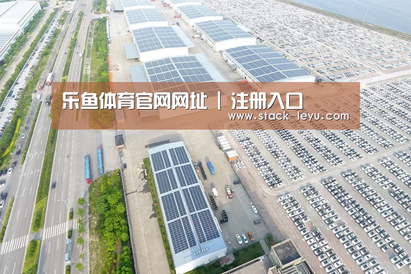 案例展示一