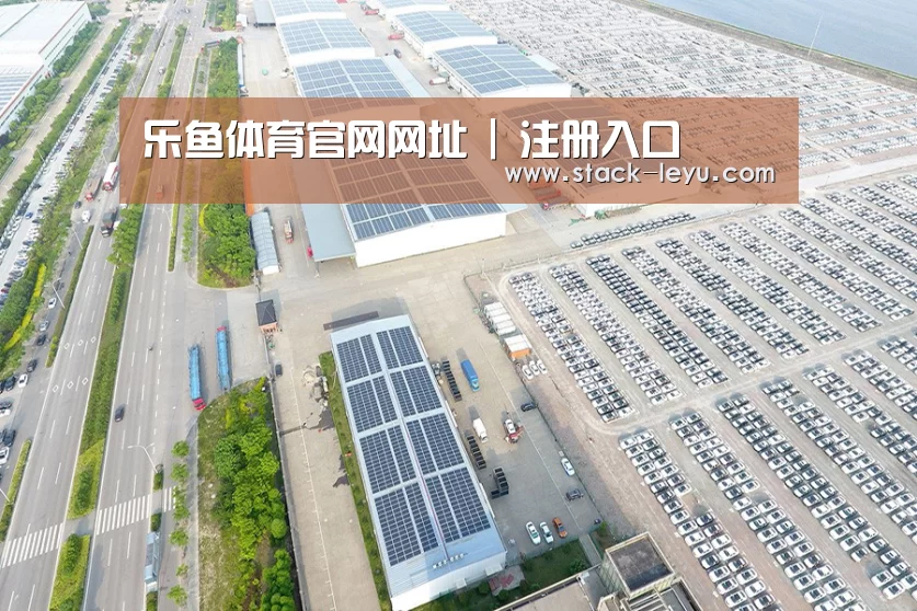 案例展示一