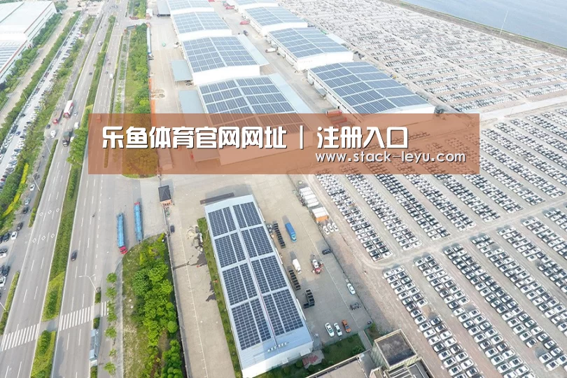 案例展示四