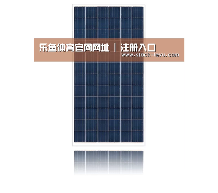 产品名称一