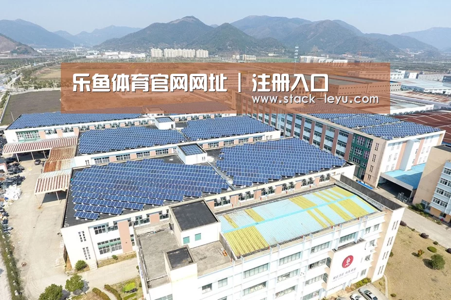 案例展示三
