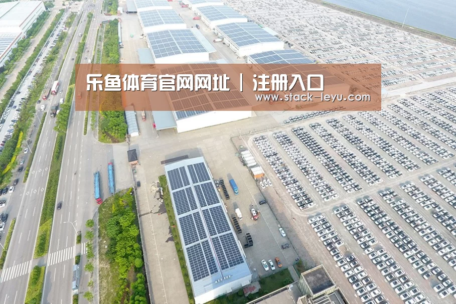 案例展示三