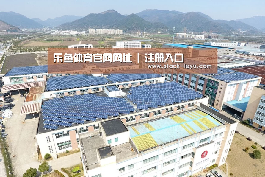 案例展示三