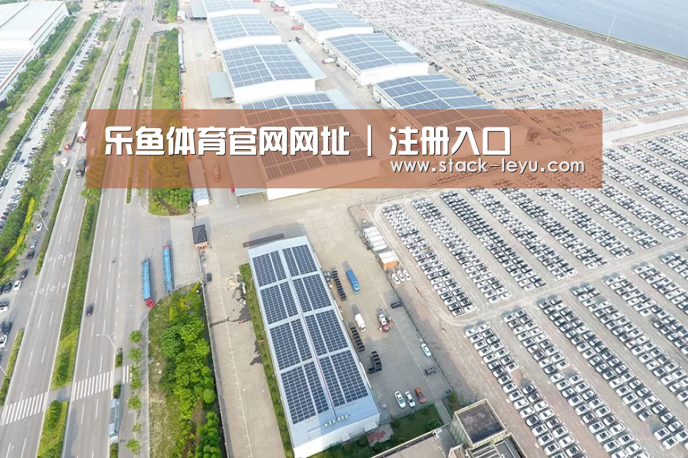 案例展示二