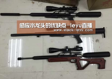 乐鱼真人